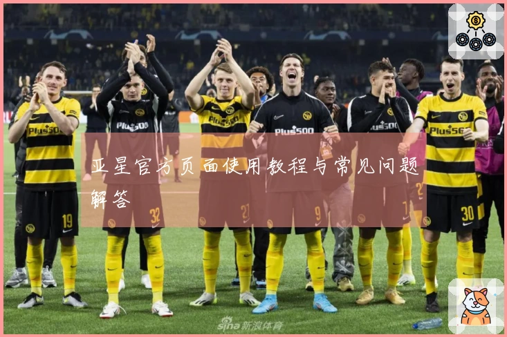 亚星官方页面使用教程与常见问题解答